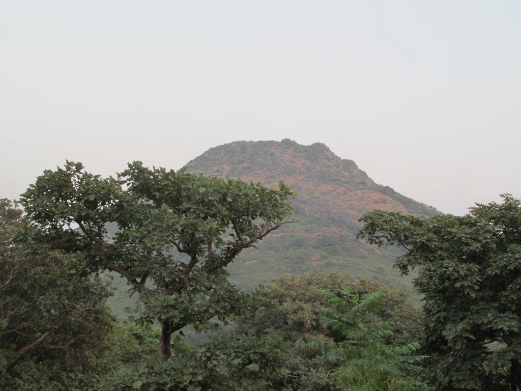 Forest Eco Lodge Mount Abu Eksteriør bilde