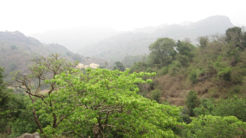 Forest Eco Lodge Mount Abu Eksteriør bilde